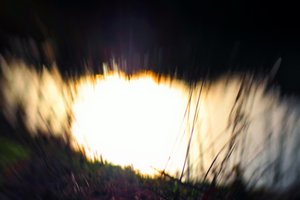 Vodní tapiserie I, 2017, (manipulovaná fotografie)