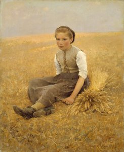 Malý sběrač, 1884