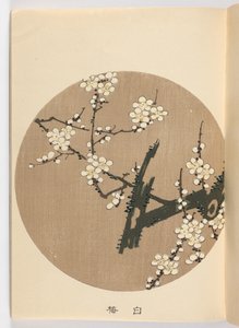 slabý ch? Je negativní, Meiji Ella, 1908 (DBock p Hayashi t)