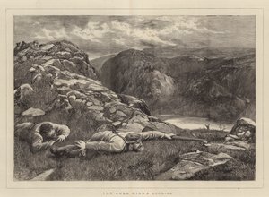 Auld Hind se dívá