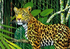Zvířata: Leopard 1