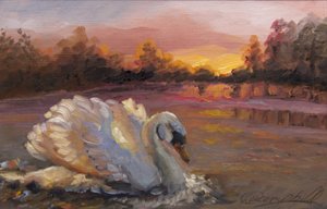 Swan at Sunrise, 2016, (olej na papíře)