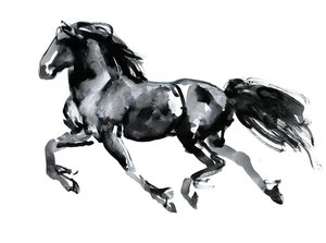 Flying Friesian, 2015, (čínský inkoust na papíře)