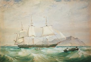 H.M.S. Sršeň, 1861