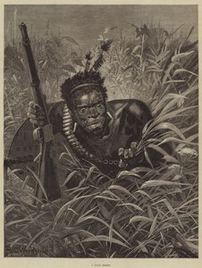 Zuluský skaut