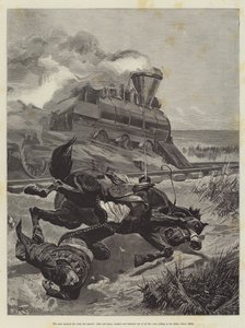Maruja, Bret Harte