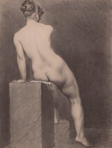 Mademoiselle Rose Nude, Pohled zezadu