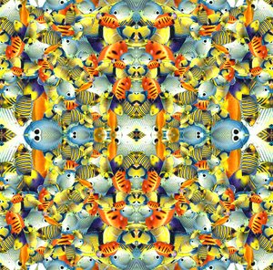 Dlaždice Kaleidoscope Fish