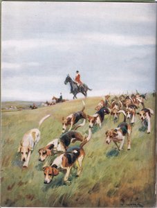 Lov lišek, ilustrace z knihy "Hounds