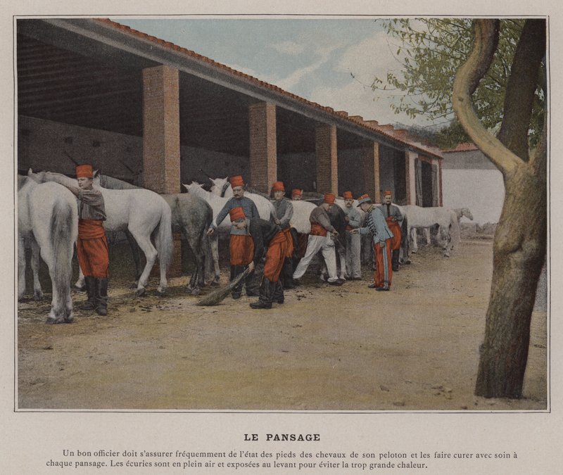 The Grooming (barevné foto) od (after) French Photographer