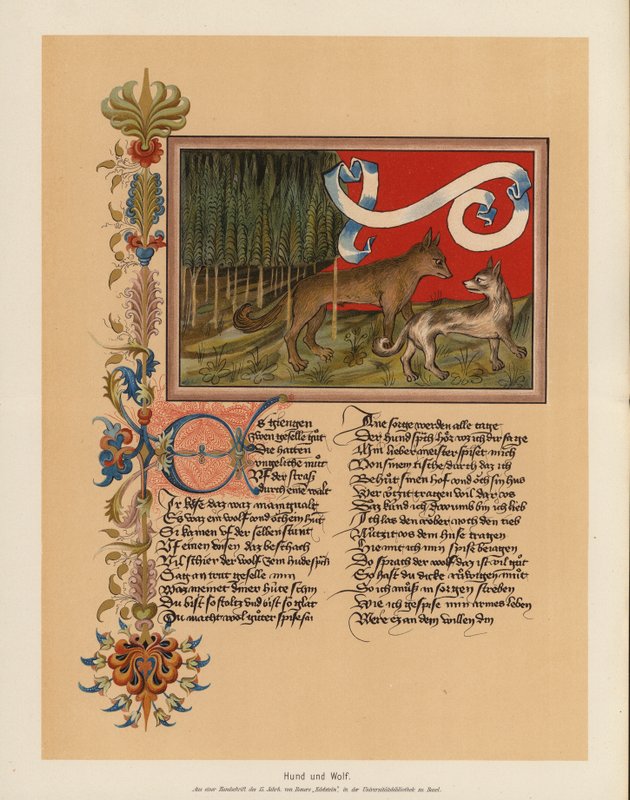 Pes a vlk (barevná litografie) od (after) German School