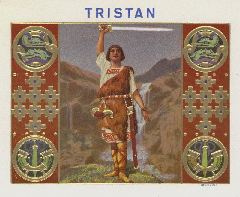 Tristan od American School