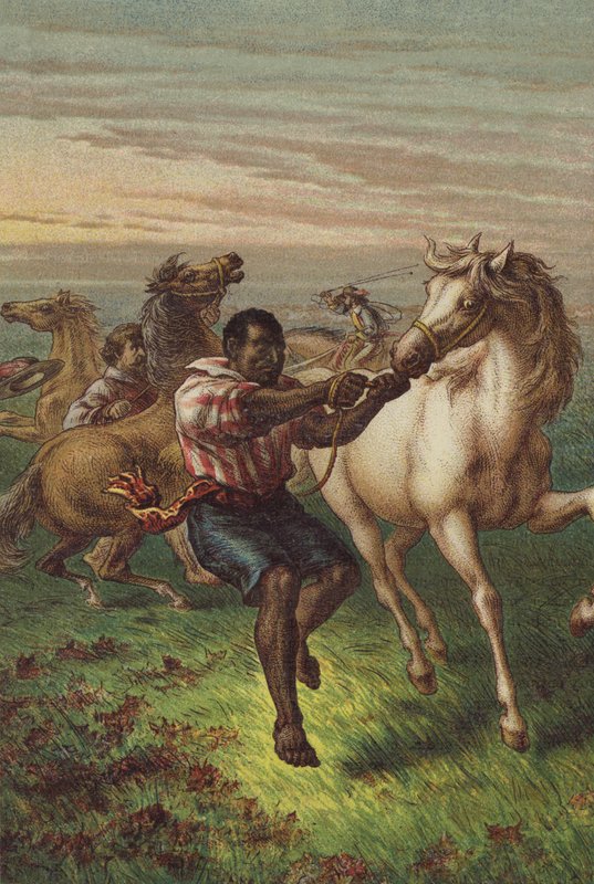 Garibaldisovi vojáci lámající divoké koně od English School