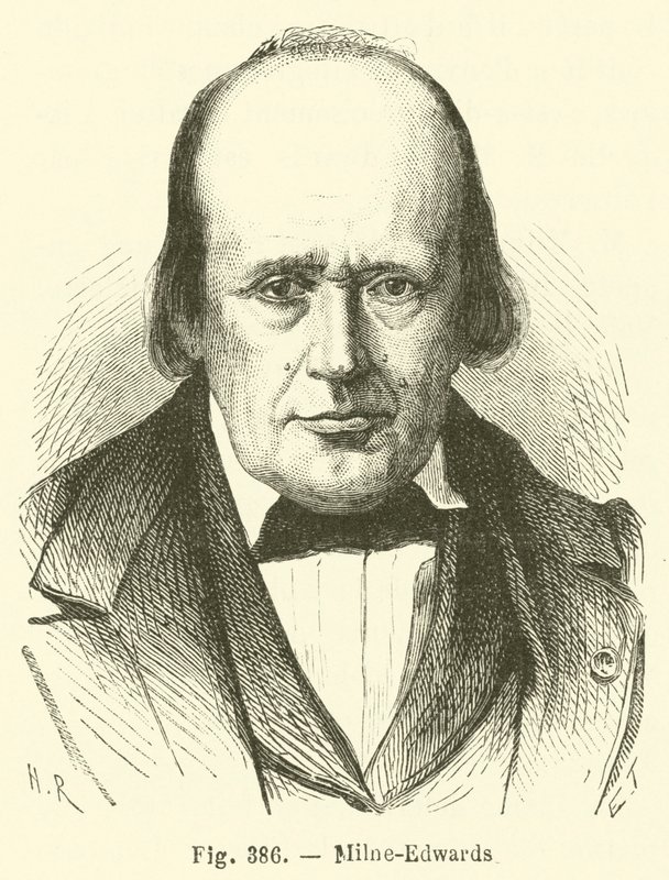Milne-Edwards od French School