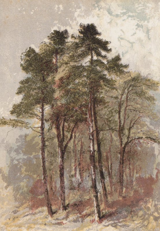Skupina jedlí (chromolit) od Aaron Edwin Penley