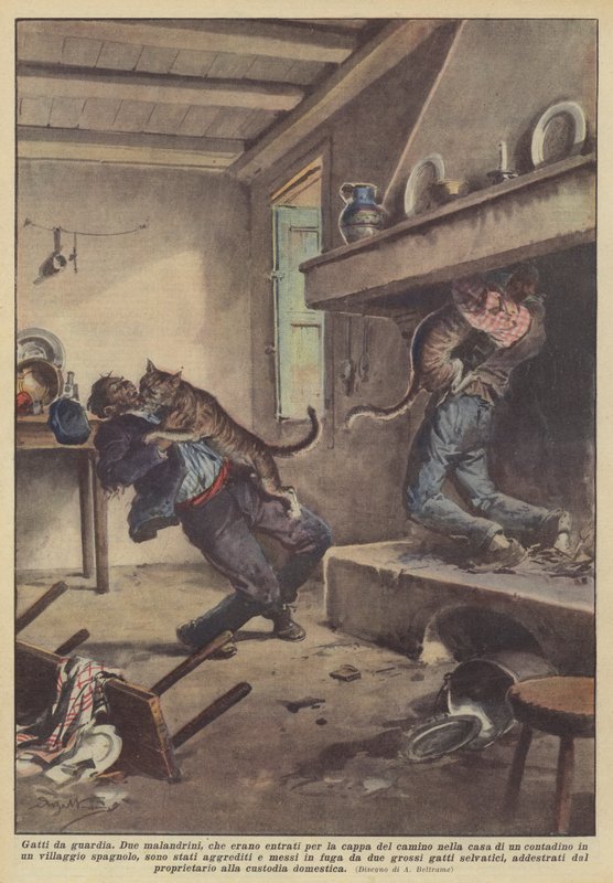 Hlídací kočky od Achille Beltrame