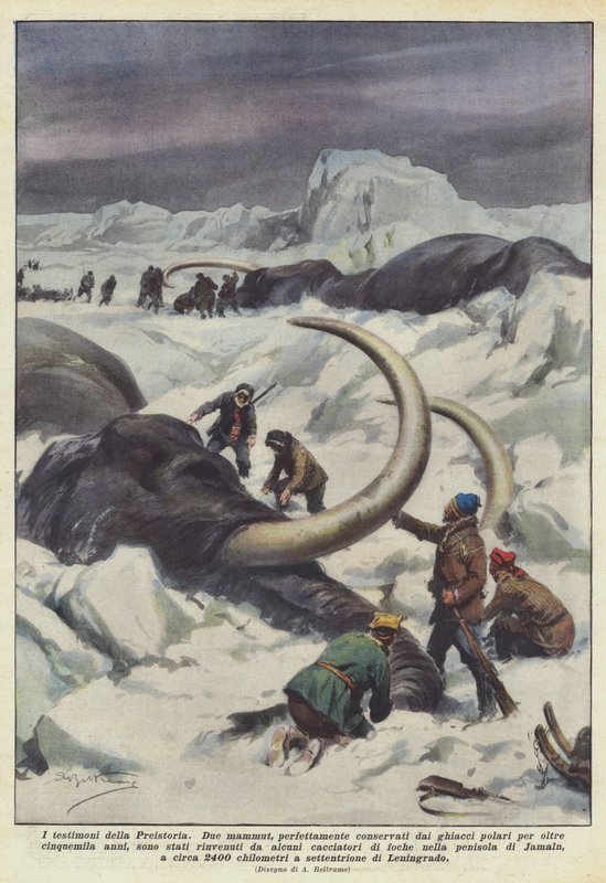 Svědkové prehistorie od Achille Beltrame