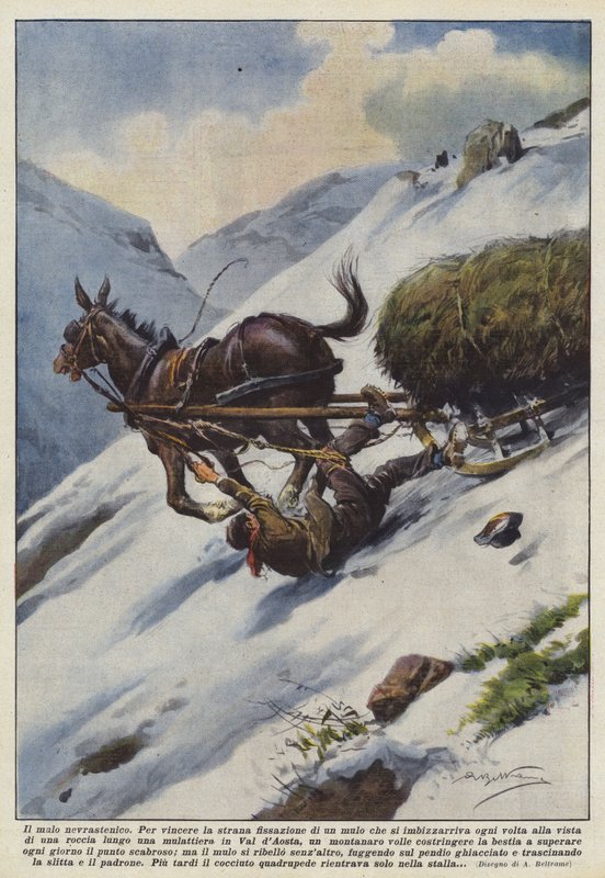Neurastenická mula od Achille Beltrame