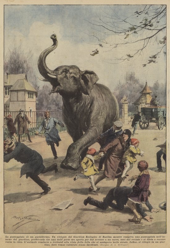 Chůze pachyderma od Achille Beltrame