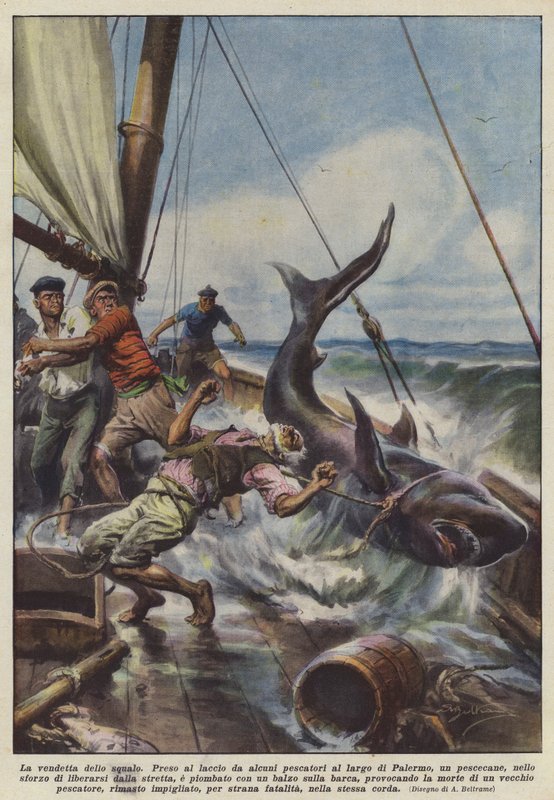 Pomsta žraloka od Achille Beltrame