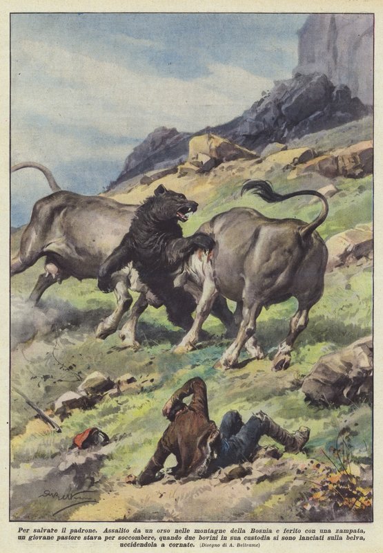 Uložení hlavní jednotky od Achille Beltrame