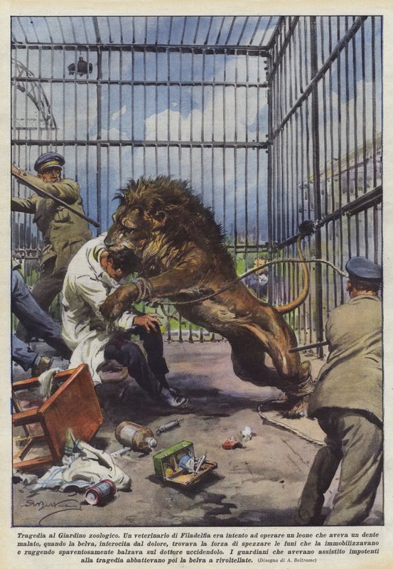 Tragédie v zoo od Achille Beltrame