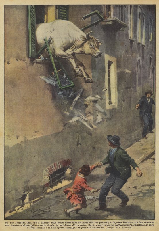Dobrý akrobat od Achille Beltrame