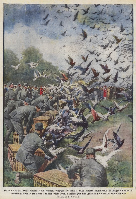 Nebe z křídel od Achille Beltrame
