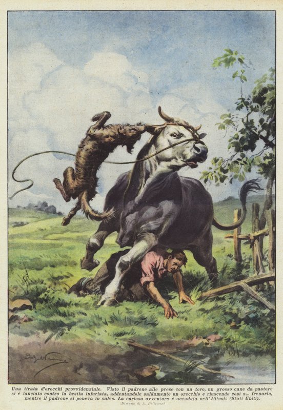Prozřetelnostní tiráda dorecchi od Achille Beltrame