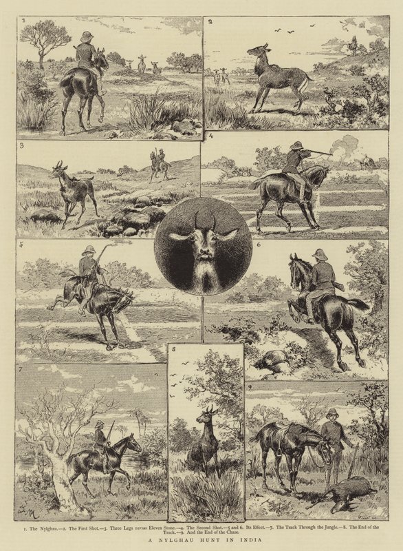 Lov na Nylghau v Indii od Adrien Emmanuel Marie