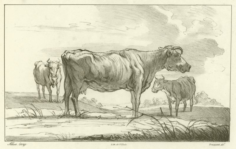 Tři krávy od Aelbert Cuyp