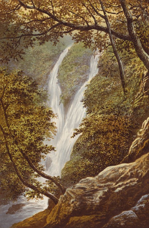 Gill Force Stock od Alexander Francis Lydon