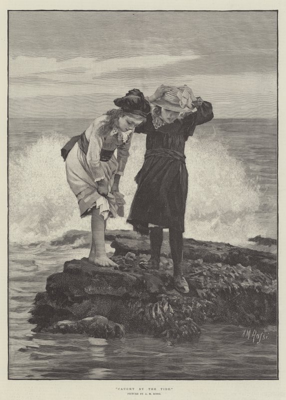 Chytil příliv od Alexander M. Rossi