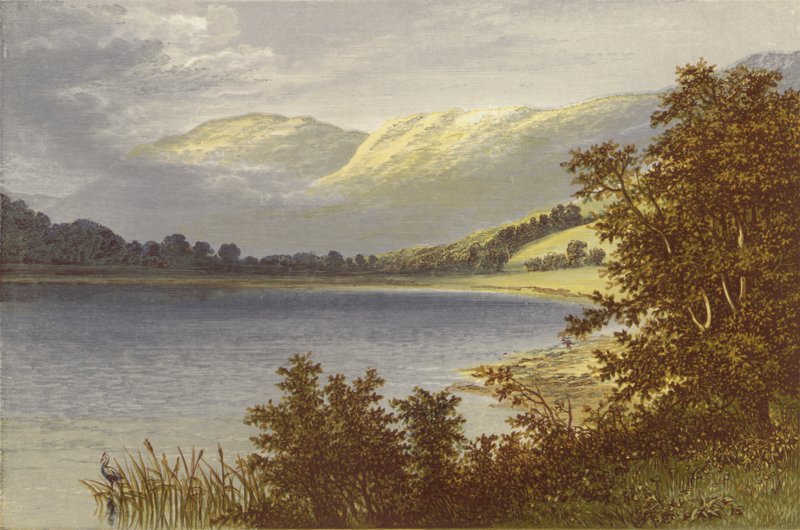 Bratři Voda od Alexander Francis Lydon