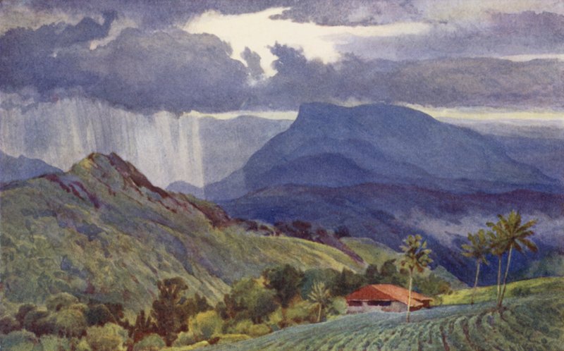 Tropická sprcha od Alexander Henry Hallam Murray
