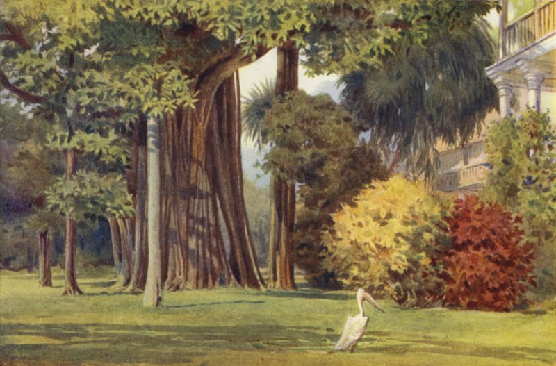 Queens House, Colombo od Alexander Henry Hallam Murray