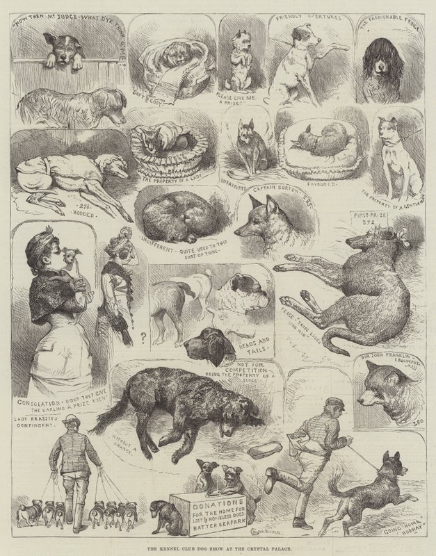 Výstava psů Kennel Club v Crystal Palace od Alfred Courbould