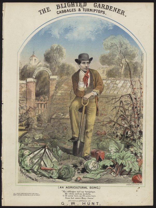 Blighted Gardener od Alfred Concanen