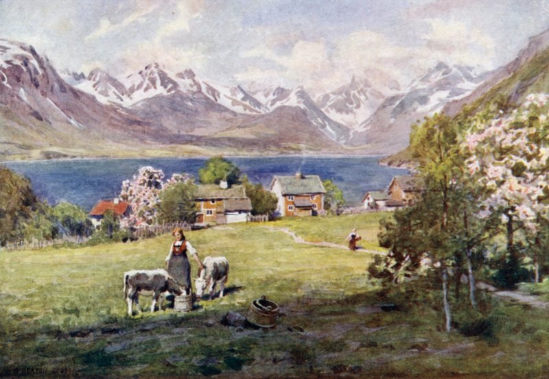 Fjord Romsdal, z Naes od Alfred Heaton Cooper