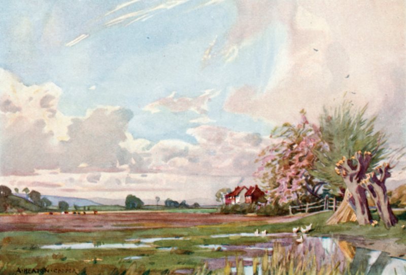Ostrov Athelney (barevné lito) od Alfred Heaton Cooper