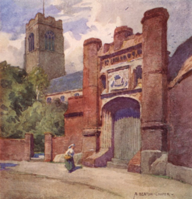 Wolsey