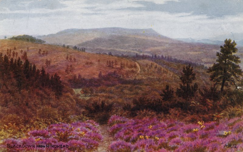Blackdown od Hindhead od Alfred Robert Quinton