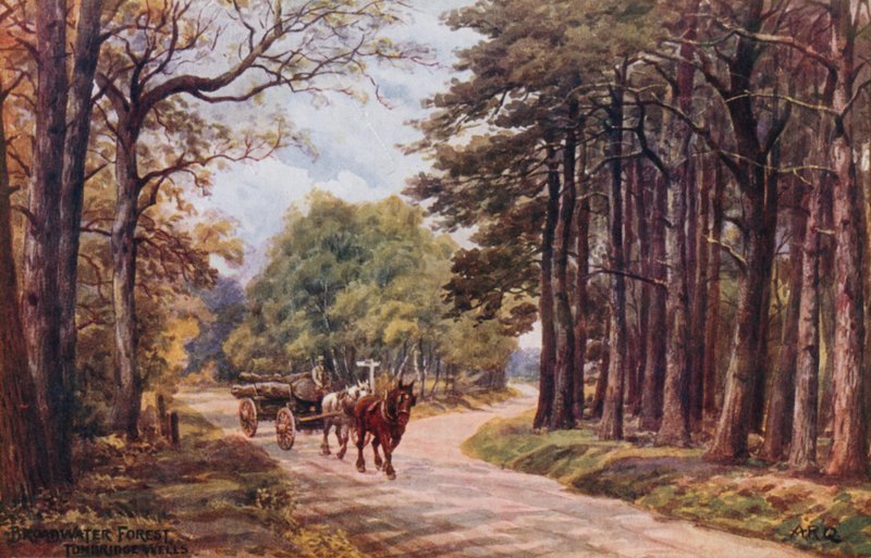 Broadwater Forest, Tunbridge Wells od Alfred Robert Quinton