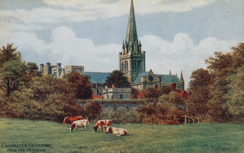 Chichester, katedrála, z Meadows od Alfred Robert Quinton