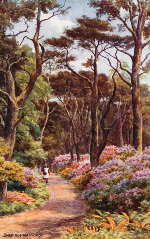 Sheringham Woods od Alfred Robert Quinton