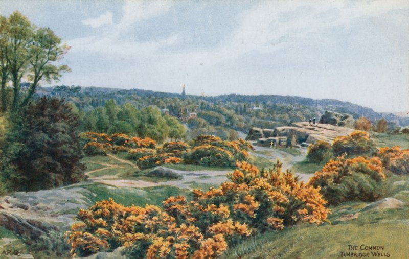 The Common, Tunbridge Wells od Alfred Robert Quinton