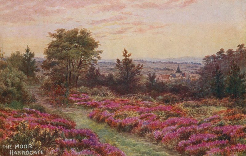 Maur, Harrogate od Alfred Robert Quinton