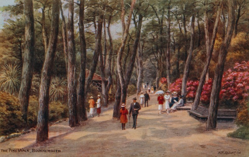 Pine Walk, Bournemouth od Alfred Robert Quinton