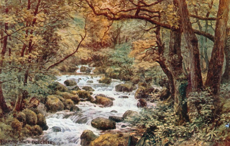 Torrent Walk, Dolgelley od Alfred Robert Quinton