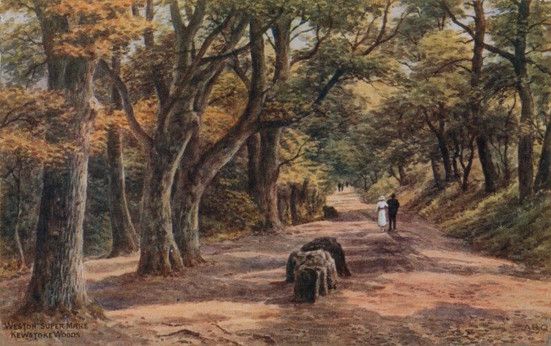 Weston-Super-Mare, Kewstoke Woods od Alfred Robert Quinton